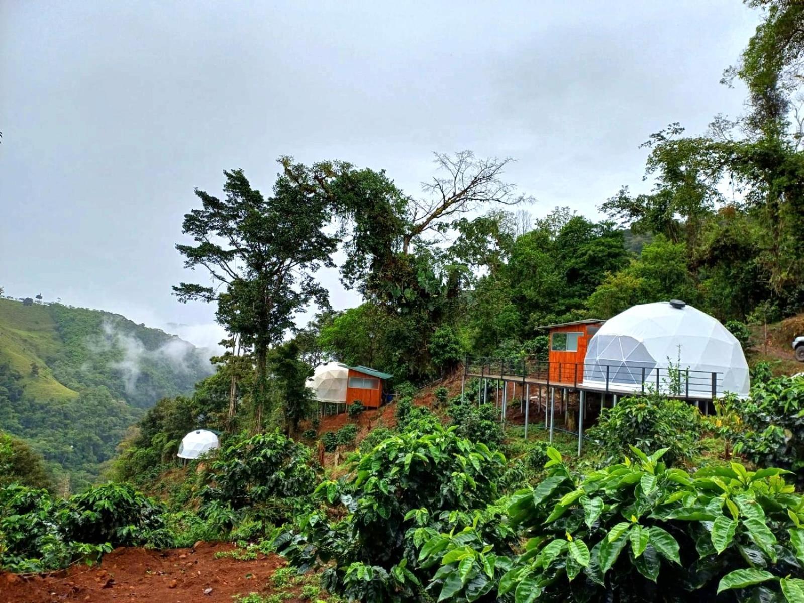 Hotel Rivel - Restaurant & Nature Retreat Turrialba Exteriör bild