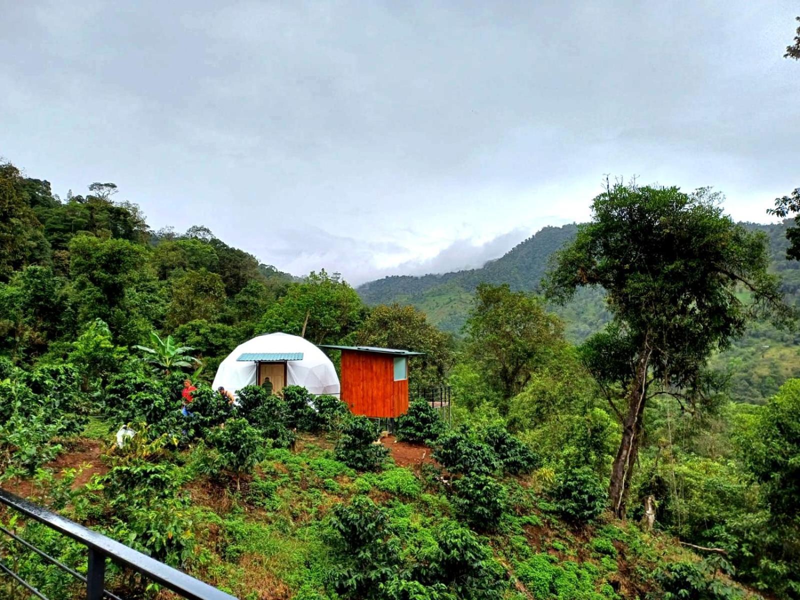 Hotel Rivel - Restaurant & Nature Retreat Turrialba Exteriör bild