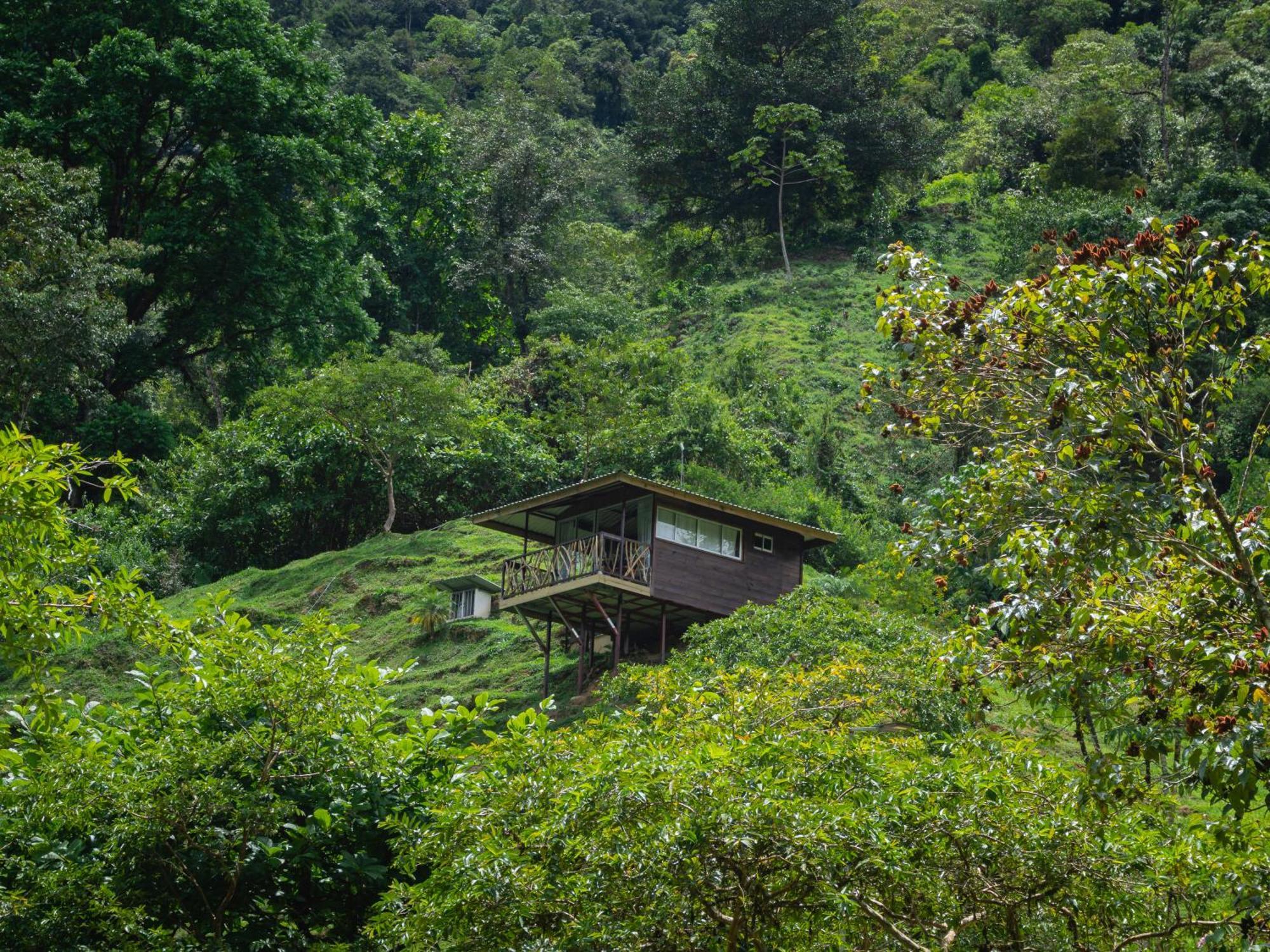 Hotel Rivel - Restaurant & Nature Retreat Turrialba Exteriör bild
