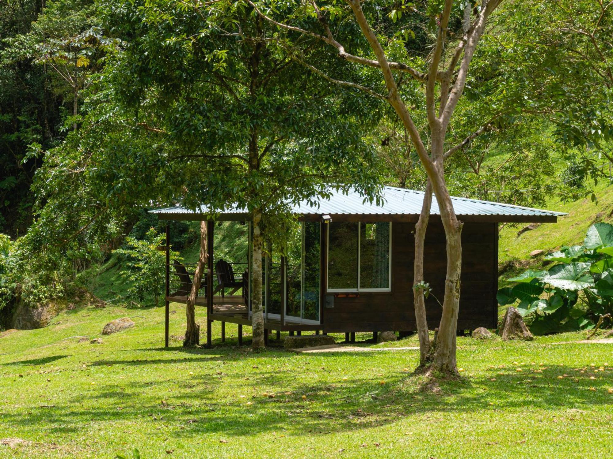 Hotel Rivel - Restaurant & Nature Retreat Turrialba Exteriör bild